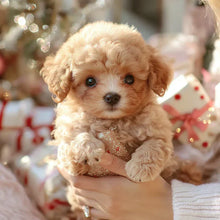 Load image into Gallery viewer, NICOO - My Realistic Robot Puppy